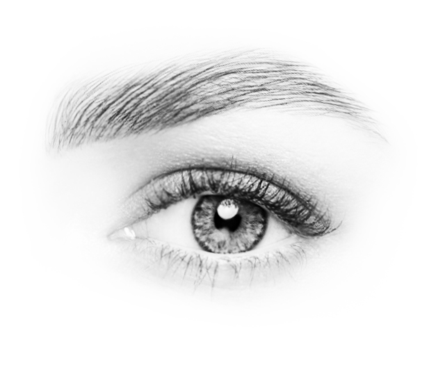 Grey lash and brow